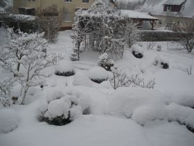 IMGP0741.JPG