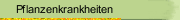 Pflanzenkrankheiten
